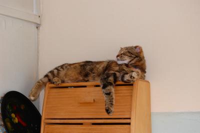 Прикрепленное изображение: 0083s.jpg